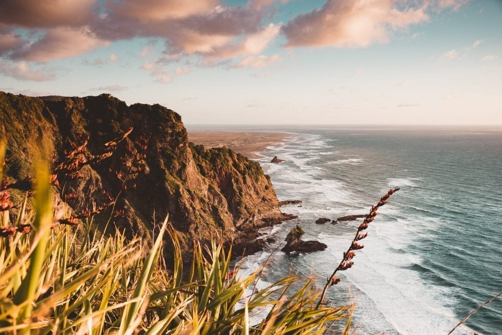 a view of aucklands west coast from the mercer bay loop track