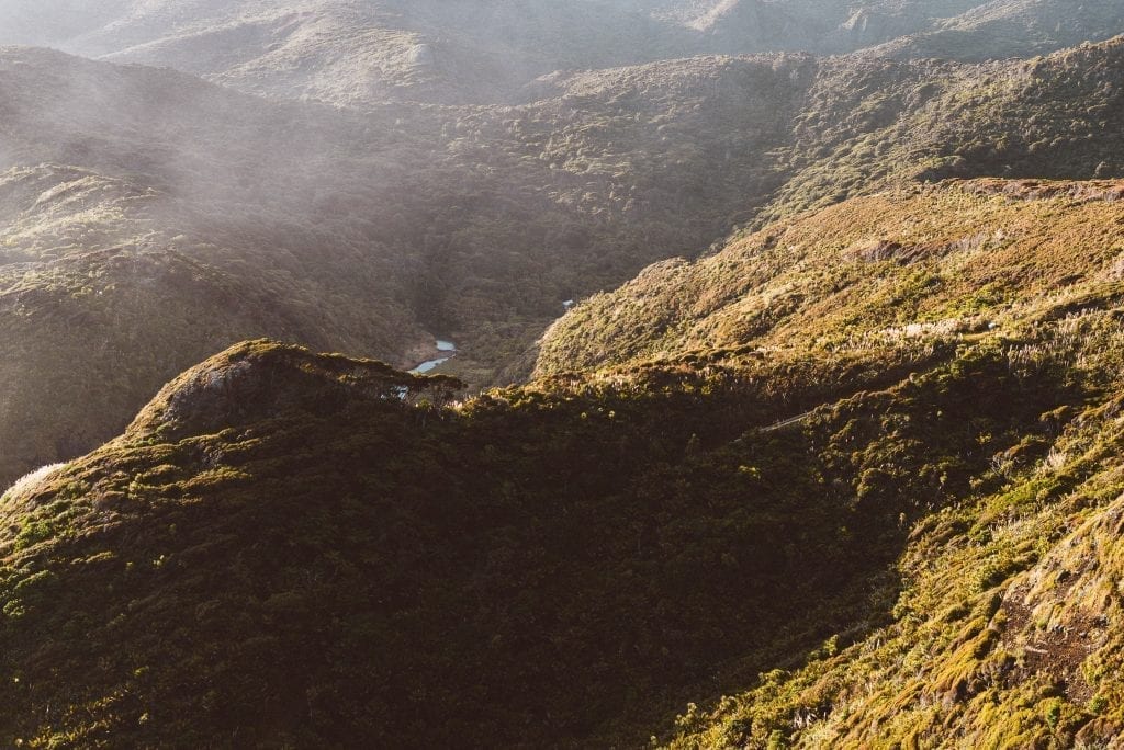 the waitakere ranges and forest from anawhata