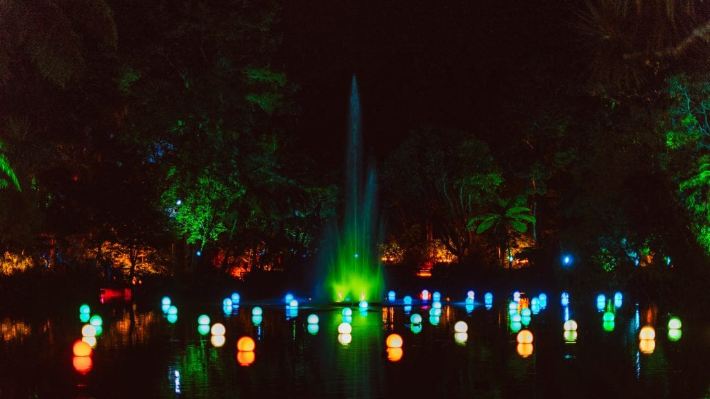 a colourful lighten up fountain at pukekura park